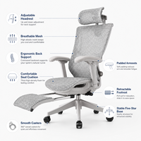 Chaise de bureau exécutive ergonomique à dossier haut en maille avec repose-pieds rétractable, support lombaire inclinable réglable, fabricant OEM