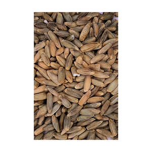 Grains de seigle en gros approvisionnement en vrac avec qualité d'exportation internationale - Product Image 6