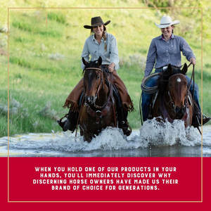 Breakaway เชือกแขวนคอม้าโฟมสายคาดคางแบบปรับได้สายรัดคอเชือกม้าม้าฝึกม้าเชือกผูกคอขนาดเฉลี่ย - Product Image 5