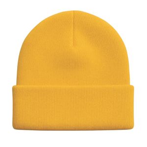 Gorro de Punto Dorado con el Logotipo de la Hermandad Sigma Gamma Rho, Gorra Acrílica con Bordado de Chenilla, Ropa de la Hermandad Griega Divine Nine - Product Image 3