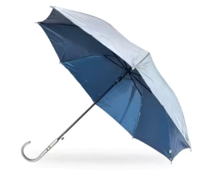 Parapluie classique SilverDome - Product Image 1