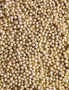 Comida de soja orgánica, comida de soja para animales, precios de comida de soja, comida de soja orgánica, comida de soja - Product Image 1