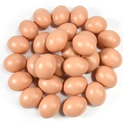 Brown Shell Fresh Table Chicken Eggs