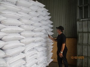 2025 Nouvelle récolte-Poivre noir au meilleur prix du fabricant Phalco Vietnam fiable - Product Image 6