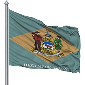 Drapeau de Delaware USA TOP FLAGSINC pour l'extérieur, 3x5 pieds, fabriqué aux États-Unis, double face avec 2 œillets en laiton, 3 couches - Product Image 3