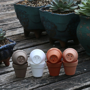 กระถางพลาสติกหนาทนรังสียูวี GT08 ขนาด 5.4 ซม. สำหรับปลูกต้นลิทอปส์ กระบองเพชร และคอนอฟิทัม - Product Image 5