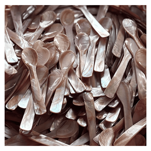 Cuillère en nacre naturelle, cuillère de service en coquille de perle pour les sucreries, les sauces et la présentation des repas, Vietnam - Product Image 6