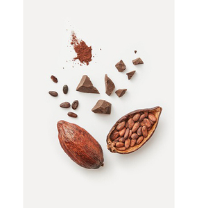 Chất Lượng Tốt Khô Lớp Một Hạt Ca Cao Bột Ca Cao Bơ Ca Cao/Cacao/Sô Cô La Đậu - Product Image 5