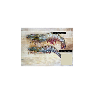 กุ้ง vannamei แช่แข็งสดใหม่สำหรับการจัดหาและการค้าอาหารทะเลจำนวนมาก - Product Image 3