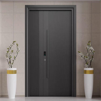 Porte d'entrée décorative haut de gamme en acier de classe A pour villa, grille verticale minimaliste, bien étanche, pour extérieur