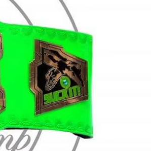 Cinturones de Campeonato Personalizados! Cinturones de Campeonato Mundial de Lucha Libre - Product Image 2