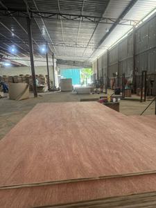 Aseanwoods ASW.009 Minimalista Eucalyptus Core B Intagor Cara Chapa de madera contrachapada para muebles Armarios Puertas Interior decorativo - Product Image 2