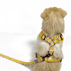 ชุดสายจูงปลอกคอสัตว์เลี้ยงสายจูงแมวและสายจูงสุนัขเชือกหนัง LED แบบยุทธวิธีสายจูงสุนัขแบบปรับแต่งได้ - Product Image 1