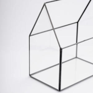 Terrario de Vidrio Pequeño de Diseño Moderno 2025 con Marco de Metal Negro, Florero de Mesa y Exhibición Hecha a Mano para Plantas y Flores - Product Image 2