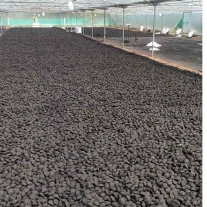 Briquettes de coque de noix de coco de qualité supérieure, combustible durable pour une cuisson propre et sûre, disponibles au prix d'exportation - Product Image 2