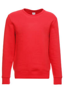 OEM Logo de broderie imprimé personnalisé Sweat-shirt 100% coton polaire épais pour hommes Sweat-shirt surdimensionné d'hiver unisexe - Product Image 3