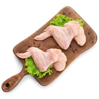 Ailes de poulet surgelées HALAL IQF de qualité supérieure, 3 articulations, nutritives, décaféinées, sans sucre, emballées sous vide, 10 kg, livraison rapide premium
