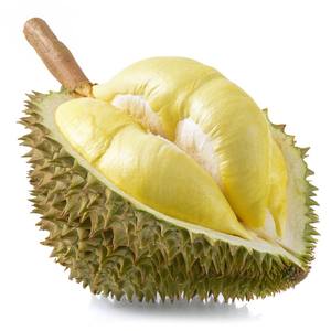 PRIX DE GROS CONGELÉ DURIAN ORIGINE VIETNAM - Product Image 5
