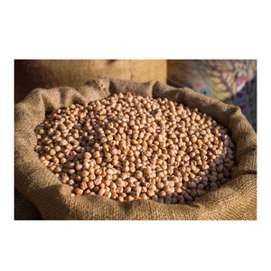 Garbanzos naturales para cocinar y enlatar Garbanzos sin OGM para compradores y distribuidores a granel - Product Image 3