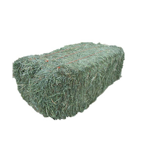 Granulés de foin de luzerne et balles de foin de Timothy pour l'alimentation de cheval, de bétail et de porc - Product Image 5