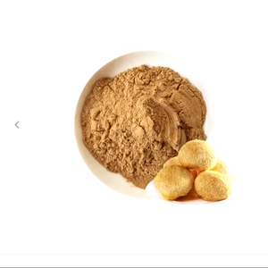 Polvo de extracto de hongo melena de León Supperfood/polvo de hongo hericium erinaceus - Product Image 1