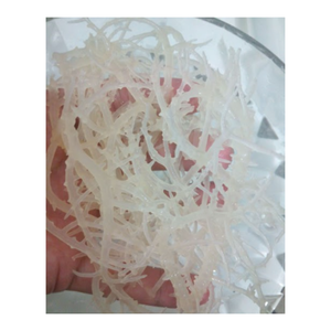 Musgo de mar irlandés seco Wildcrafted de alta calidad para ensalada Seamoss Algas marinas Eucheuma Cottonnii secas y limpias - Product Image 1