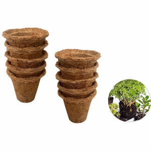 ถ้วยเริ่มต้น Cocogrow ถาดหม้อสินค้าพรีเมียม - Product Image 4