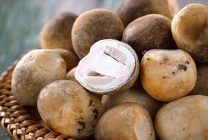 CHAMPIGNONS DE PAILLE EN CONSERVE DE HAUTE QUALITÉ ET DE BON PRIX DU VIETNAM - Product Image 4