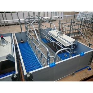 Équipement de maternité avancé pour le confort des truies et la sécurité des porcelets, cage de mise bas galvanisée avec fenêtre ventilée en PVC - Product Image 6