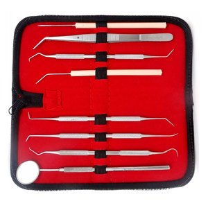 Kit de 8 outils professionnels pour dentiste, sonde de nettoyage buccal en acier inoxydable, outils de nettoyage dentaire, cure-dents dentaires - Product Image 3