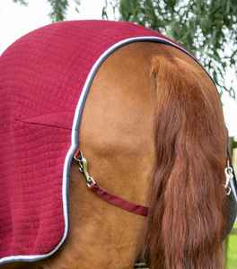 Factory direct premium personalized horse rugs <b>waterproof</b> breathable durable equestrian riding <b>blanket</b> custom design supply - Product Image 6