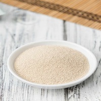 Poudre de levure sèche instantanée Saf Active pour la cuisson de la levure de vin emballée dans un sac