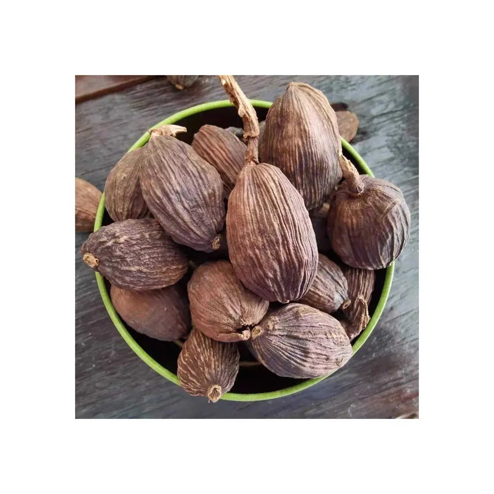 Sementes de cardamomo preto secas altas 100% puras de grande venda a baixo preço de mercado Cardamomo preto seco/cardamomo vermelho seco 100% de pureza