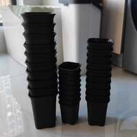 Production directe en usine Hot New Thick Octogone Square Pots de fleurs Mini Stone Lotus Black Pots for Floor for Table Gardon-Pavico