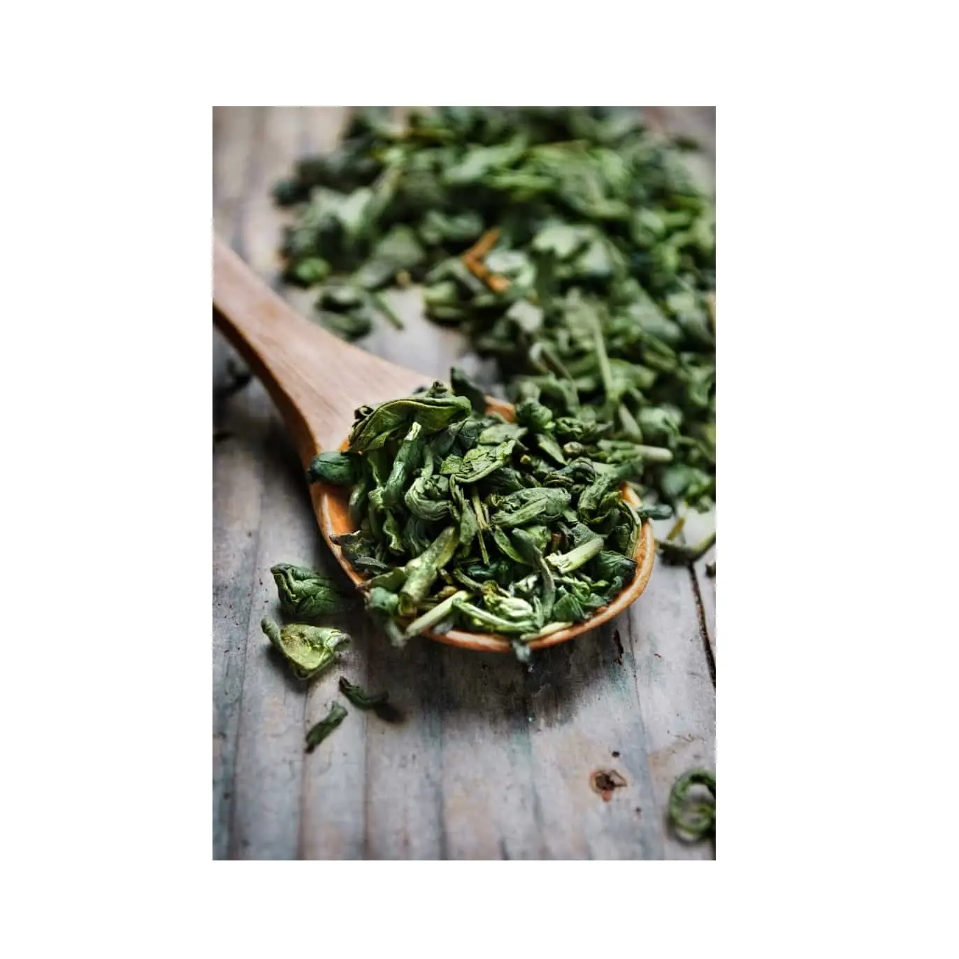 100% Organic Green Tea Wholesale Bulk Broken Green Tea Manufacturer and Exporter From India