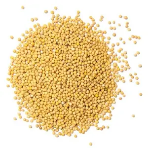 Cheap polished millet groats delicious and very healthy dish with an exquisite aroma and delicate taste available for wholesale