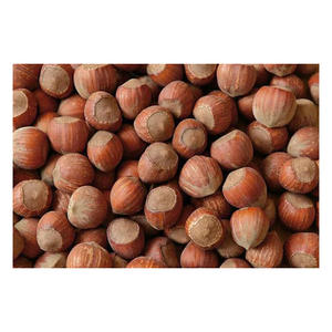 Noisettes fraîches récoltées, prêtes pour le chargement en vrac et la livraison rapide - Product Image 6