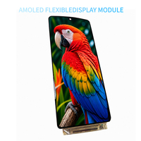Module d'écran AMOLED flexible de 6,67 pouces 6,78 pouces 1224x2720 MIPI 4 voies Interface LCM 4500 pour module d'écran de smartphone