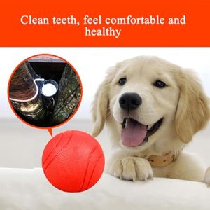 Palla da Tennis per Cani in Gomma Naturale Ecologica, Indistruttibile, Resistente, Elastica e Rimbalzante - Product Image 5