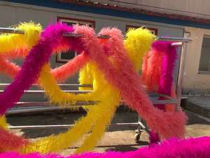 <span class=keywords><strong>Boa</strong></span> en plumes d'autruche 8 plis, prix d'usine, pour une longueur de 12 à 15 cm, plumes d'autruche bon marché, <span class=keywords><strong>boa</strong></span> en plumes d'autruche 8 plis - Product Image 6