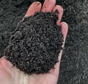 Fundición de lombrices de tierra Control de lombrices de tierra naturales para césped Campo de golf y harina de semillas de té de césped con pajita - Product Image 2