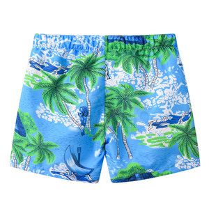 Shorts de plage pour hommes en polyester et élasthanne, séchage rapide, respirants, haute qualité, nouvelle collection, best-seller - Product Image 2