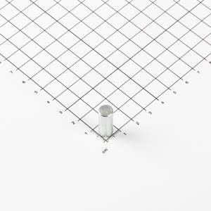 Pinza in Neodimio Ø8x20mm senza Fissaggio - Product Image 1