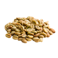 Haute qualité Robusta café haricots verts nouvelle culture Vietnam origine prix d'usine haut fournisseur-HANFIMEX + 84374074818