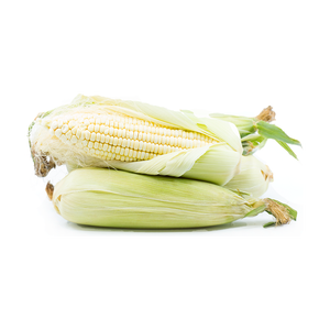 Oferta de descuento en maíz blanco de primera calidad preparado para pedidos de envío a granel - Product Image 4