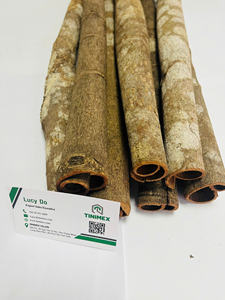 หลอดอบเชย Kayu Manis ขายส่ง zimtstange หลอดอบเชยแบบส่งตรงจากผู้ผลิตในเวียดนาม - Product Image 6