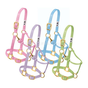 Vente en gros de licous en nylon personnalisés Équipement de course d'équitation Sports d'extérieur Colliers de tête équestres légers réglables - Product Image 1