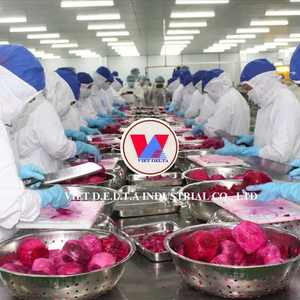 ผลไม้มังกรเวียดนามคุณภาพสูง หั่นเป็นชิ้น ราคาสุดคุ้ม - Product Image 2