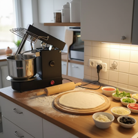 Mélangeur à pâte spiralé 5L 750W avec moteur sans balais, tête inclinable et bol amovible