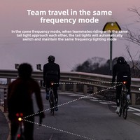 Feu arrière de vélo intelligent à détection de freinage rechargeable par USB, 22LM LED, 5 modes, étanche pour VTT et vélo de route